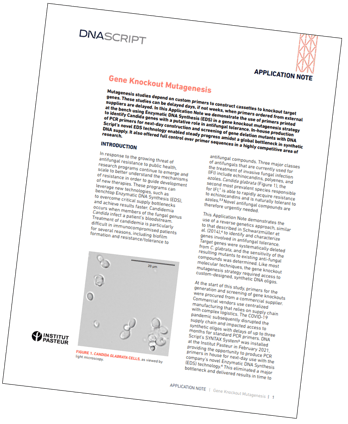 mutagenesis app note tilt